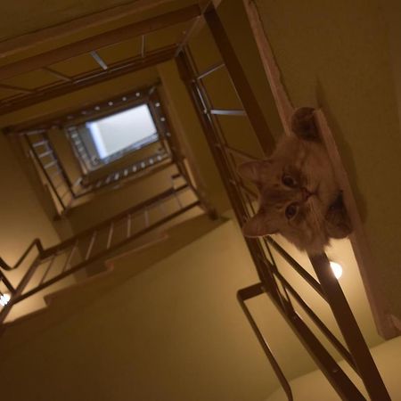 Bed and Breakfast Le Rossi Bed Cesena Esterno foto
