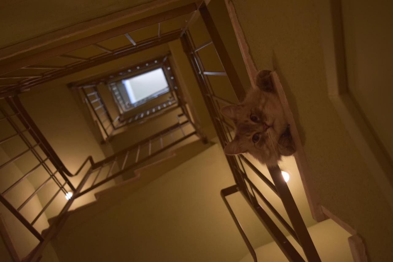 Bed and Breakfast Le Rossi Bed Cesena Esterno foto
